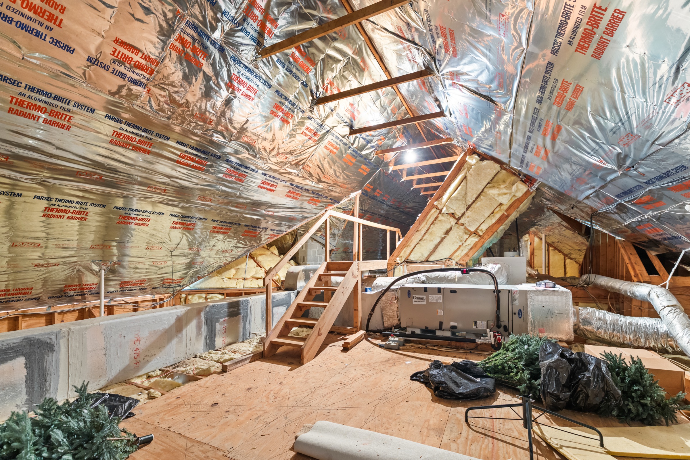 Attic bonus room potential